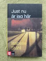 Just nu &auml;r jag h&auml;r - roman
