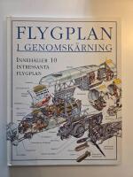 Flygplan i genomsk&auml;rning