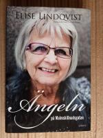 &Auml;ngeln p&aring; Malmskillnadsgatan