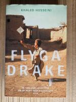 Flyga drake