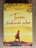 Tusen str&aring;lande solar