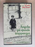 &Auml;ngeln p&aring; sjunde trappsteget : en irl&auml;ndsk barndom