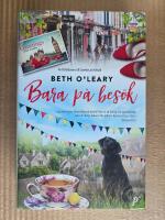 Bara p&aring; bes&ouml;k