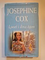 Ljuset i dina &ouml;gon : roman