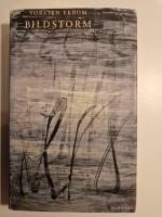 Bildstorm