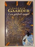 I en g&aring;tfull spegel