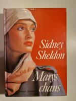 Marys chans : roman