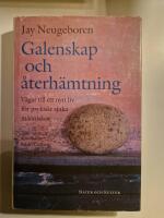 Galenskap och &aring;terh&auml;mtning : V&auml;gar till ett nytt liv f&ouml;r psykiskt sjuka m&auml;nniskor