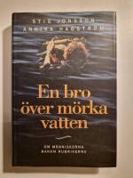 En bro &ouml;ver m&ouml;rka vatten : om m&auml;nniskorna bakom rubrikerna