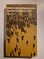 I en f&ouml;rvandlad stad