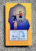 The Wind on the Moon