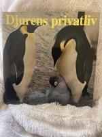 Djurens privatliv
