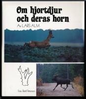 Om hjortdjur och deras horn