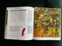 Signalarter : indikatorer p&aring; skyddsv&auml;rd skog : flora &ouml;ver kryptogamer