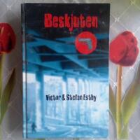 Beskjuten : en ungdomsroman om Ted