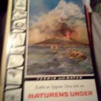 Rab&eacute;n & Sj&ouml;grens Stora bok om Naturens Under