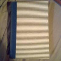 Sk&auml;rvan i &ouml;gat