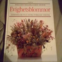 Evighetsblommor &ndash; Eterneller och andra torkade v&auml;xter
