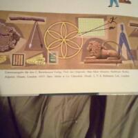 Wunderbare Zahlenwelt