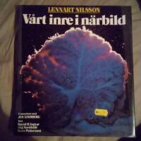 V&aring;rt inre i n&auml;rbild