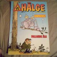 H&auml;lge Nr 17 &ndash; Varning! Fallande &auml;lg