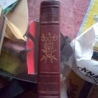 &Ouml;verste Benrangel