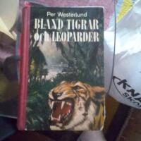 Bland tigrar och leoparder