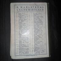 Den f&ouml;rsvunna staden