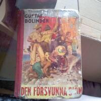 Den f&ouml;rsvunna sj&ouml;n