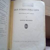 Den f&ouml;rsvunna sj&ouml;n