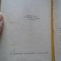 Den f&ouml;rsvunna sj&ouml;n