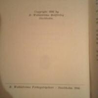 Flykten &ouml;ver gr&auml;nsen