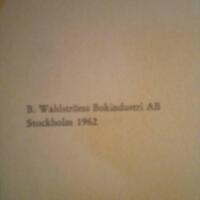 De 6 och den osynliga g&auml;sten