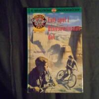 Fult spel i dinosauriernas dal (Screech Owls 10)