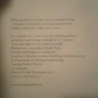 Bli expert p&aring; 5 minuter : bildningsakuten