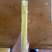 Den f&ouml;rtrollade v&auml;gen