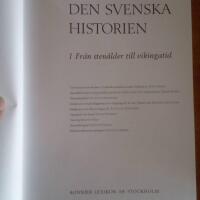 Den svenska historien 1 &ndash; Fr&aring;n sten&aring;lder till vikingatid