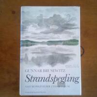 Strandspegling : naturupplevelser i tid och rum