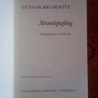 Strandspegling : naturupplevelser i tid och rum