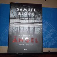 Det h&auml;nger en &auml;ngel ensam i skogen