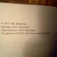 Musungu &ndash; Sjuksk&ouml;terska och fr&auml;mling i Zambia