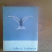 F&aring;glar och f&aring;gelmarker