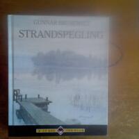 Strandspegling