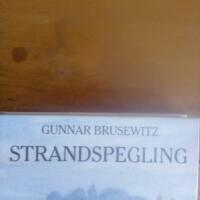 Strandspegling