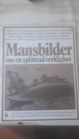 Mansbilder : [om en splittrad verklighet]
