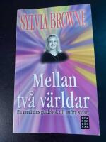 Mellan tv&aring; v&auml;rldar : ett mediums guidebok till andra sidan