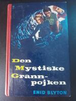 Den mystiske grannpojken