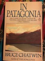 In Patagonia
