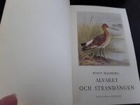 Alvaret och strans&auml;ngen