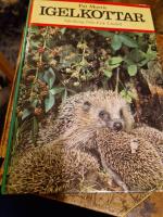 Igelkottar